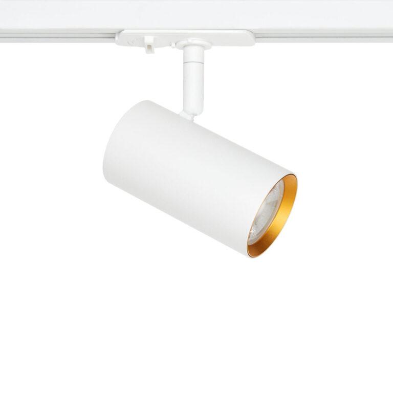 Λευκό - χρυσό σποτ ράγας